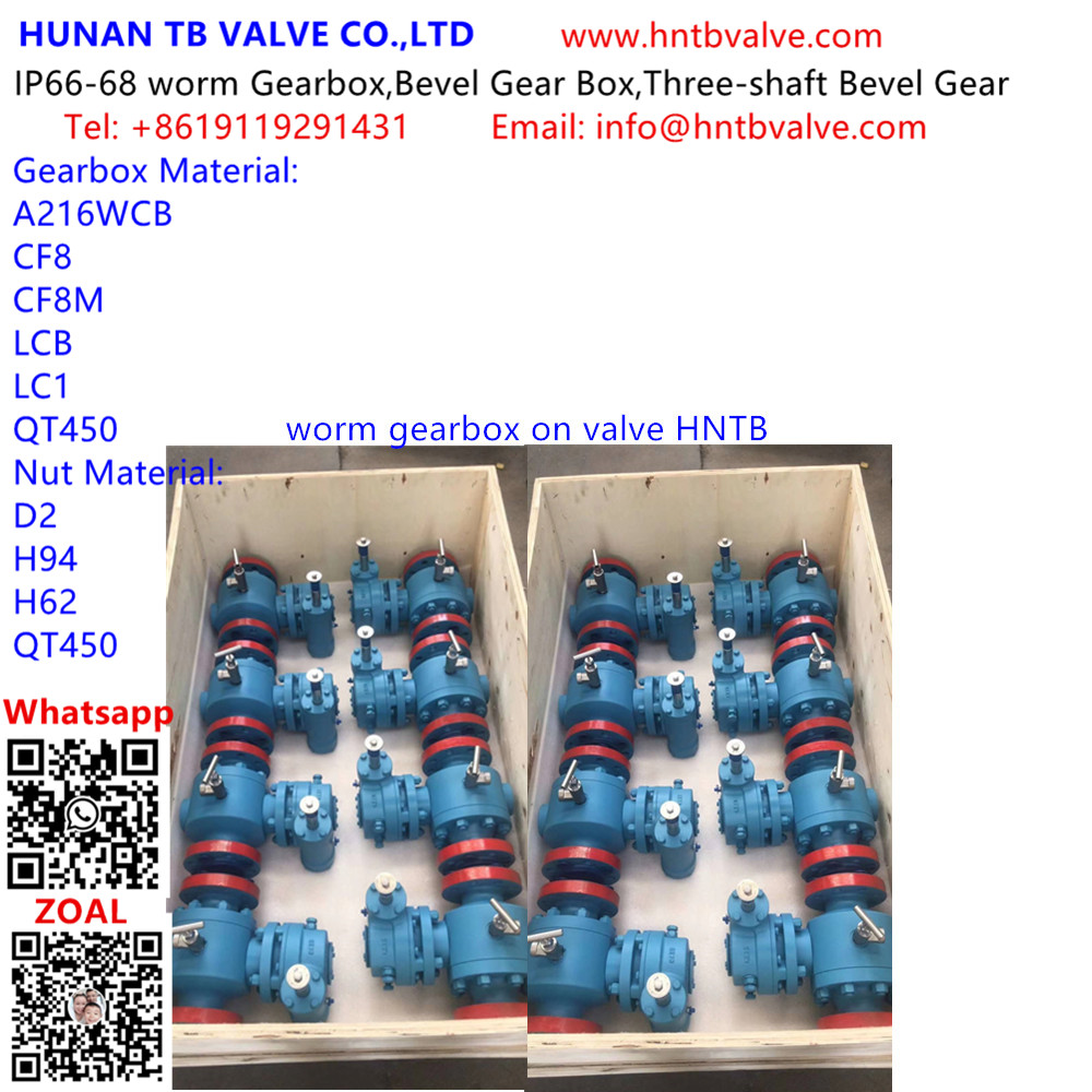 Worm gearbox on valve HNTB